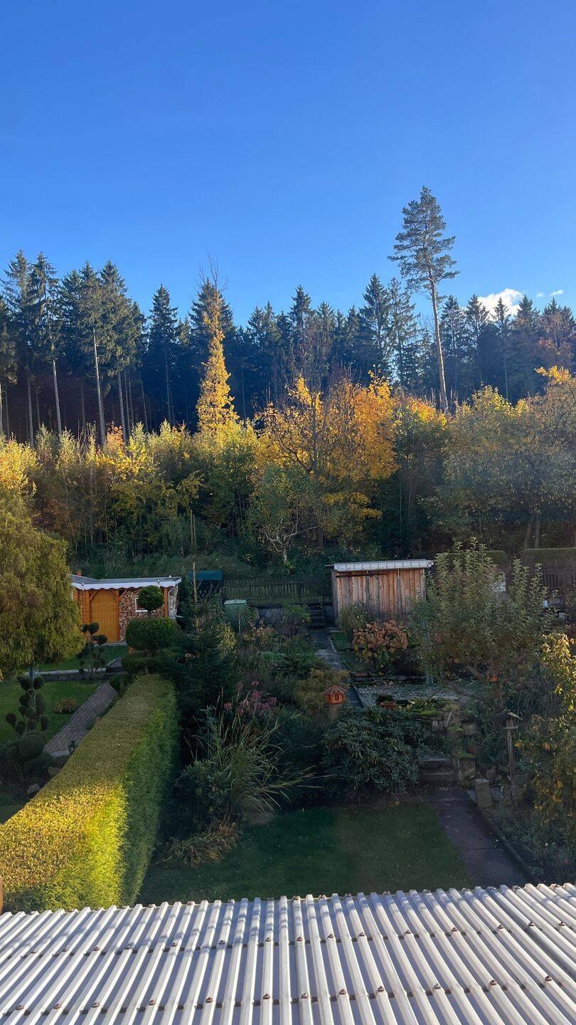 Immobilie in Bad Gottleuba-Berggießhübel - Achtung: Kleine Perle für Familien, traumhaft !! Reihenmittelhaus in Berggießhübel, 5 Zimmer, 2 Bäder, Terrasse, Garten - Bild 4