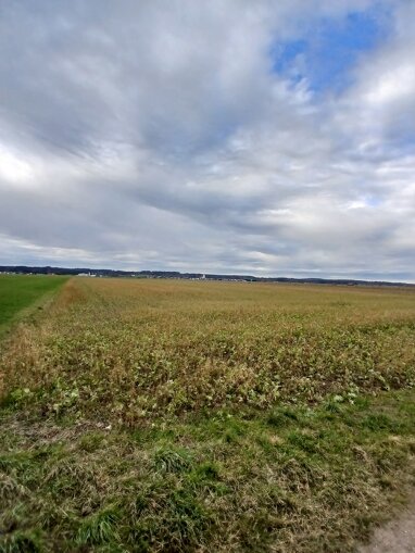 Landwirtschaftliche Fläche zum Kauf 163.458 € Unterauerbach Mindelheim / Unterauerbach 87719