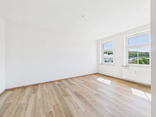 Wohnung zur Miete 390 € 2 Zimmer 60 m² Geschoss 3/4 frei ab sofort Stegerstraße 3 Ostvorstadt Plauen 08527