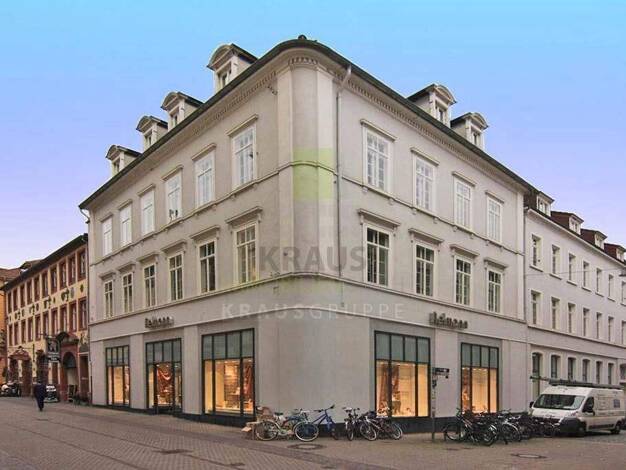 Büro zur Miete provisionsfrei 17 € 3 Zimmer 96,4 m² Bürofläche Altstadt Heidelberg 69117
