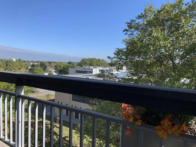 Loft zur Miete 780 € 1 Zimmer 50 m² frei ab sofort Lübecker Str. 9 Weiden Köln 50858