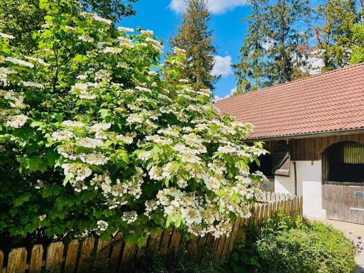 Bauernhof zum Kauf 200.000 m² Stockach 78333