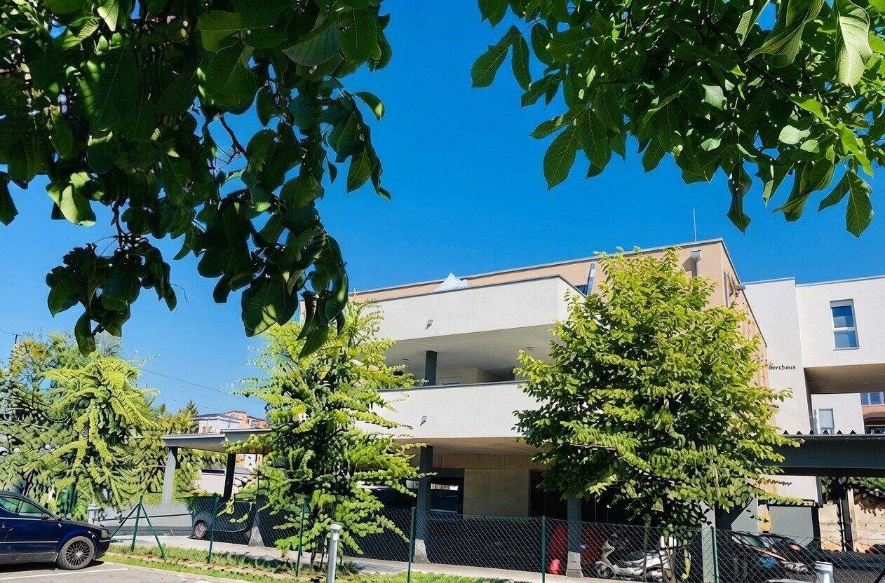 Wohnung zur Miete