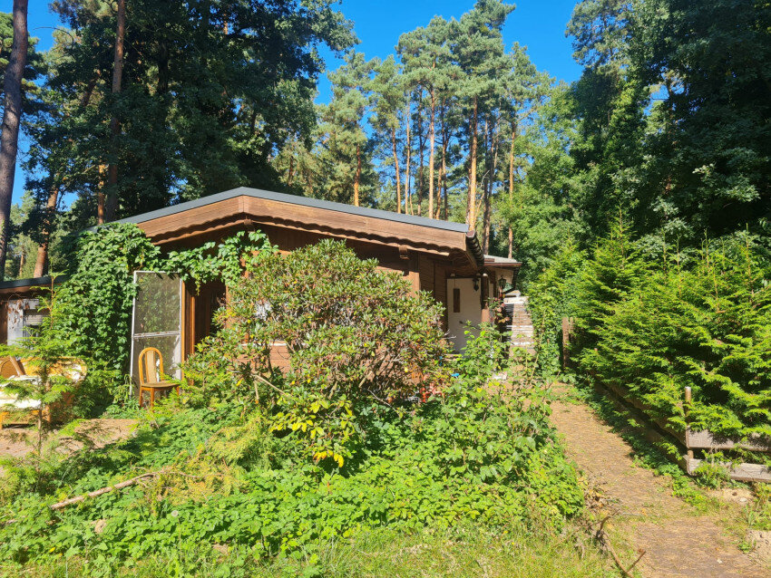 Bungalow zum Kauf 15.000 € 2 Zimmer 45 m²<br/>Wohnfläche 420 m²<br/>Grundstück Plodda Muldestausee 06774