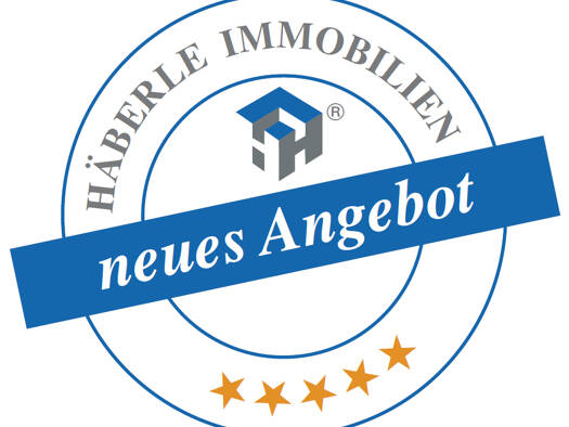 Mehrfamilienhaus zum Kauf 1.300.000 € 12 Zimmer 314,5 m² 760 m² Grundstück Hilzingen 78247