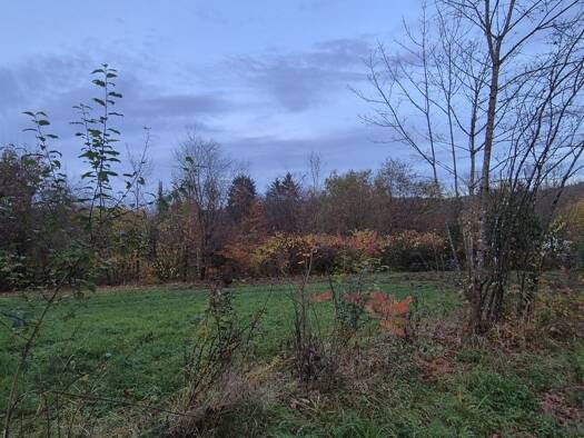 Grundstück zum Kauf 95.000 € 800 m² Grundstück Stadtmitte Völklingen 66333