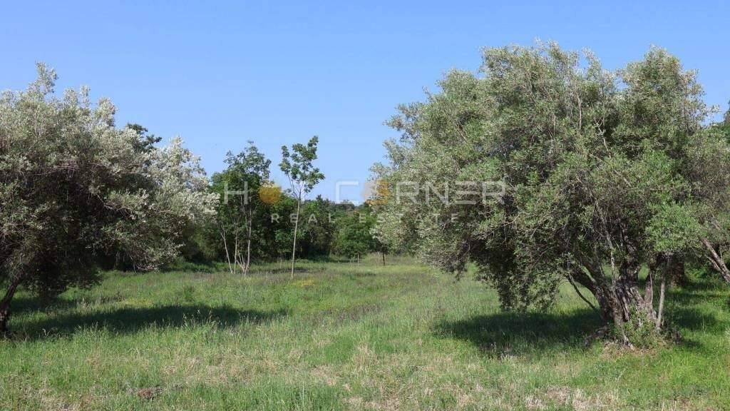 Land-/Forstwirtschaft zum Kauf 80.500 € Duga Uvala, Marcana Peruski, Kavran, Pavicini