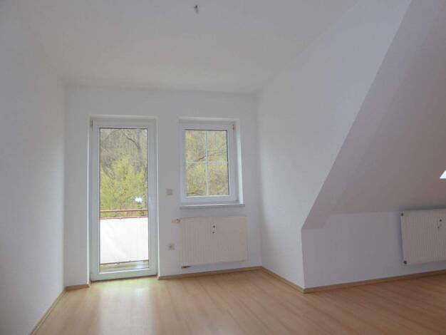 Wohnung zur Miete 435 € 2 Zimmer 56 m² 2. Geschoss Friedrich-Adolf-Richter-Straße Wohngebiet Rudolspark Rudolstadt 07407