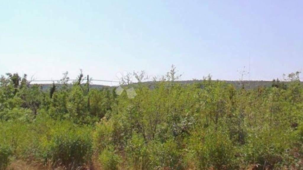 Land-/Forstwirtschaft zum Kauf 250.000 € Klis