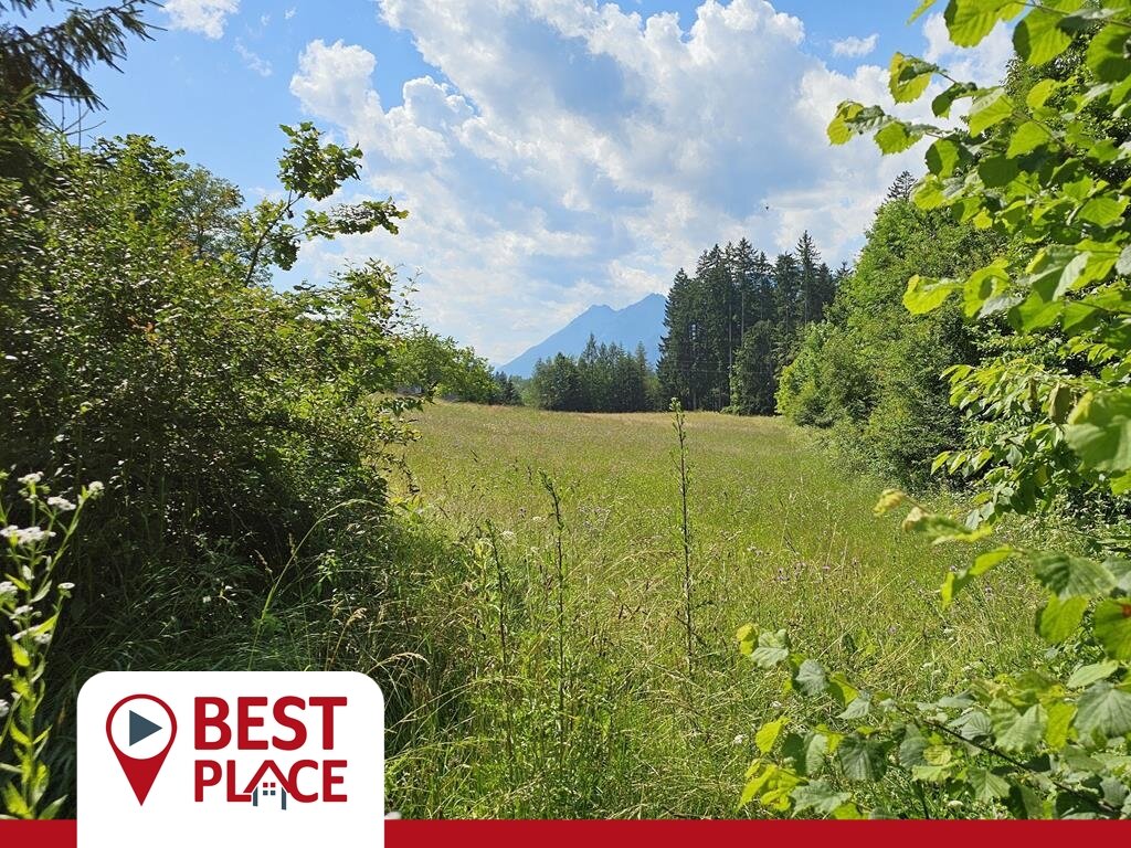 Land-/Forstwirtschaft zum Kauf 79.000 € 7.900 m²<br/>Grundstück Poglantschach 9612