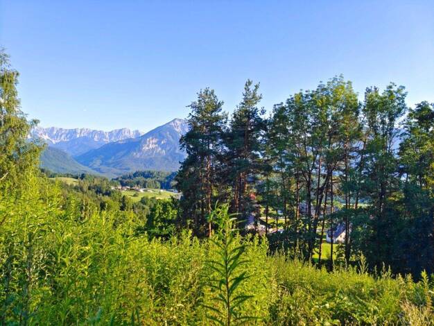 Grundstück zum Kauf 127.000 € 802 m² Grundstück Maria Rain 9161