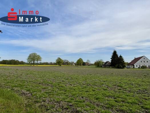 Land-/Forstwirtschaft zum Kauf 145.000 € 27.500 m² Grundstück Levern Stemwede 32351