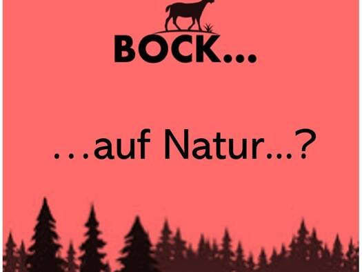 Haus zum Kauf 620.000 € 5 Zimmer 140 m² 661,9 m² Grundstück Saig Lenzkirch 79853