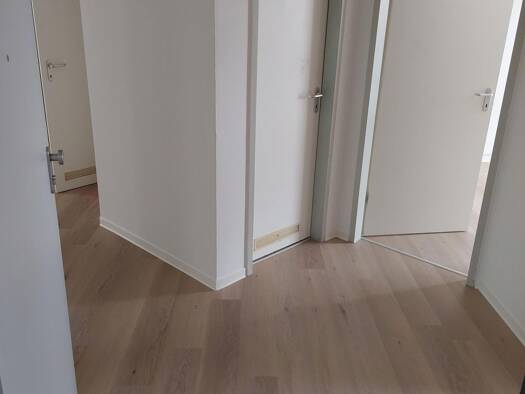 Wohnung zur Miete 315 € 3 Zimmer 60 m² 2. Geschoss Gottfried-Erich-Rosenthal-Straße 1 Nordhausen 99734