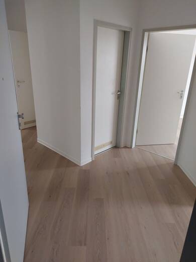 Wohnung zur Miete 315 € 3 Zimmer 60 m² 2. Geschoss Gottfried-Erich-Rosenthal-Straße 1 Nordhausen Nordhausen 99734