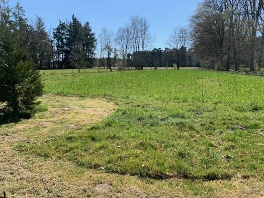 Einfamilienhaus zum Kauf 690.000 € 6 Zimmer 155 m² 3.995 m² Grundstück Ladbergen 49549