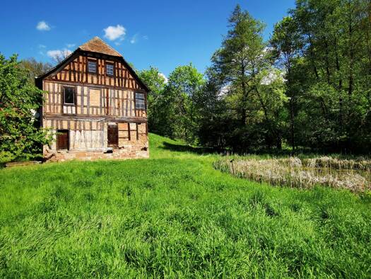 Bauernhaus zum Kauf 150.000 € 8 Zimmer 360 m² 2.000 m² Grundstück Schlöben 07646