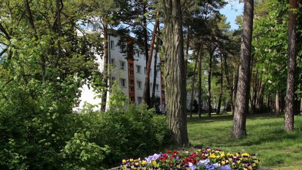 Wohnung zur Miete 385 € 3 Zimmer 61,5 m² 2. Geschoss frei ab sofort Kiefernweg 6 Altes Lager Niedergörsdorf 14913