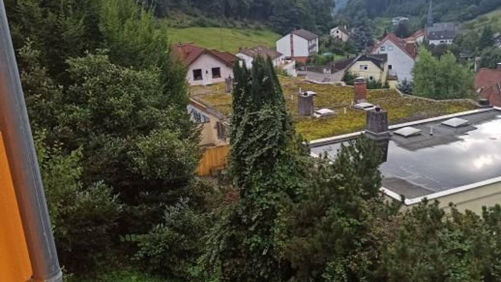 Haus zum Kauf 599.000 € 5 Zimmer 150 m² 356 m² Grundstück Ziegelhausen Heidelberg 69118