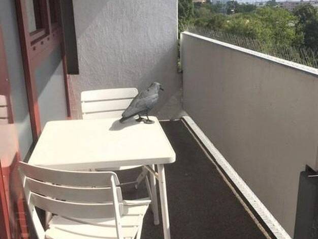 Wohnung zur Miete 1.200 € 2 Zimmer 67 m² Thalk.Obersendl.-Forsten-Fürstenr.-Solln München 81379