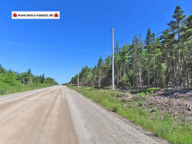 Grundstück zum Kauf 21.500 € 14.130 m² Grundstück Loch Lomond Road Big Pond 116