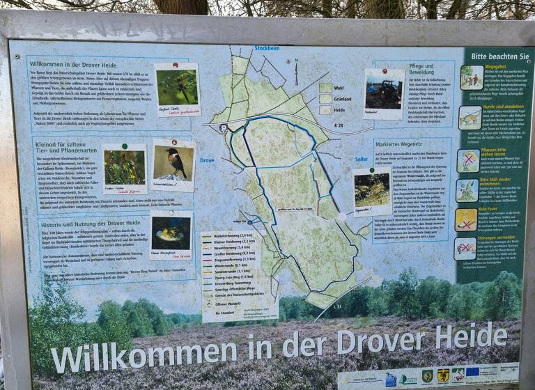 Grundstück zum Kauf 247.000 € 998 m² Grundstück Soller Vettweiß 52391