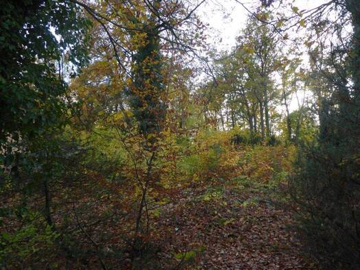 Grundstück zum Kauf 295.000 € 921 m² Grundstück Schönwalde-Siedlung Schönwalde-Glien 14621