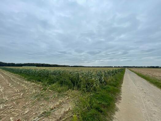 Land-/Forstwirtschaft zum Kauf 476.000 € 40.000 m² Grundstück Süchteln Viersen 41749