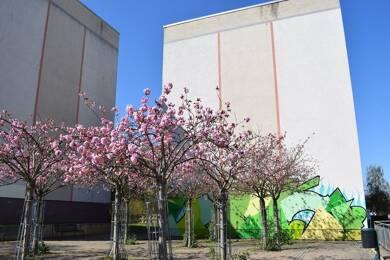 Wohnung zur Miete 425 € 4 Zimmer 71,8 m² Dachgeschoss, 4. Geschoss frei ab sofort Konstantin-Ziolkowski-Straße 24 West Gotha 99867