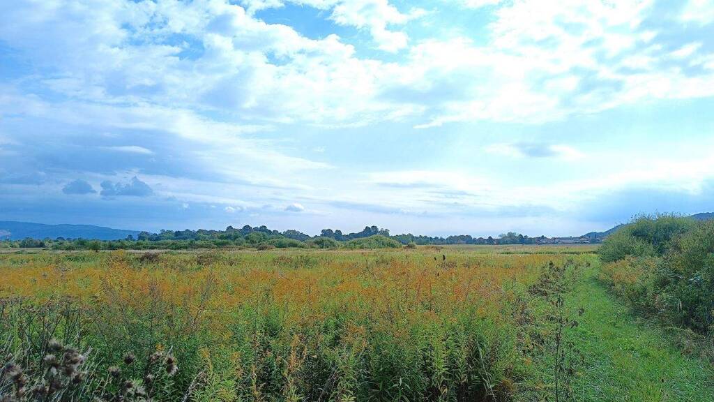 Gewerbegrundstück zum Kauf 90.000 € Samobor - Okolica 10430