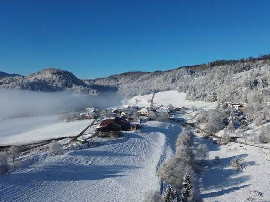 Einfamilienhaus zum Kauf 590.000 € 5 Zimmer 120 m² 2.946 m² Grundstück Ebenthal / Kossiach 9065