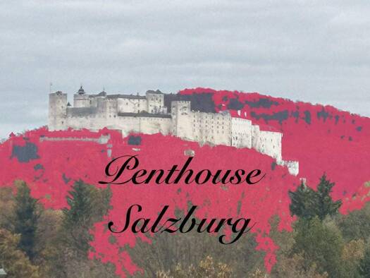 Penthouse zum Kauf provisionsfrei 2.200.000 € 3 Zimmer 190 m² Morzg Salzburg 5020