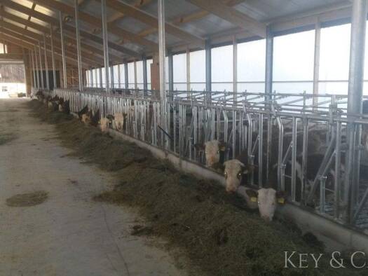 Sonstiges zum Kauf Reichertsfeld Illschwang 92278