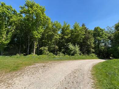 Land-/Forstwirtschaft zum Kauf 168.000 € 45.000 m² Grundstück Stadtbergen Stadtbergen 86391