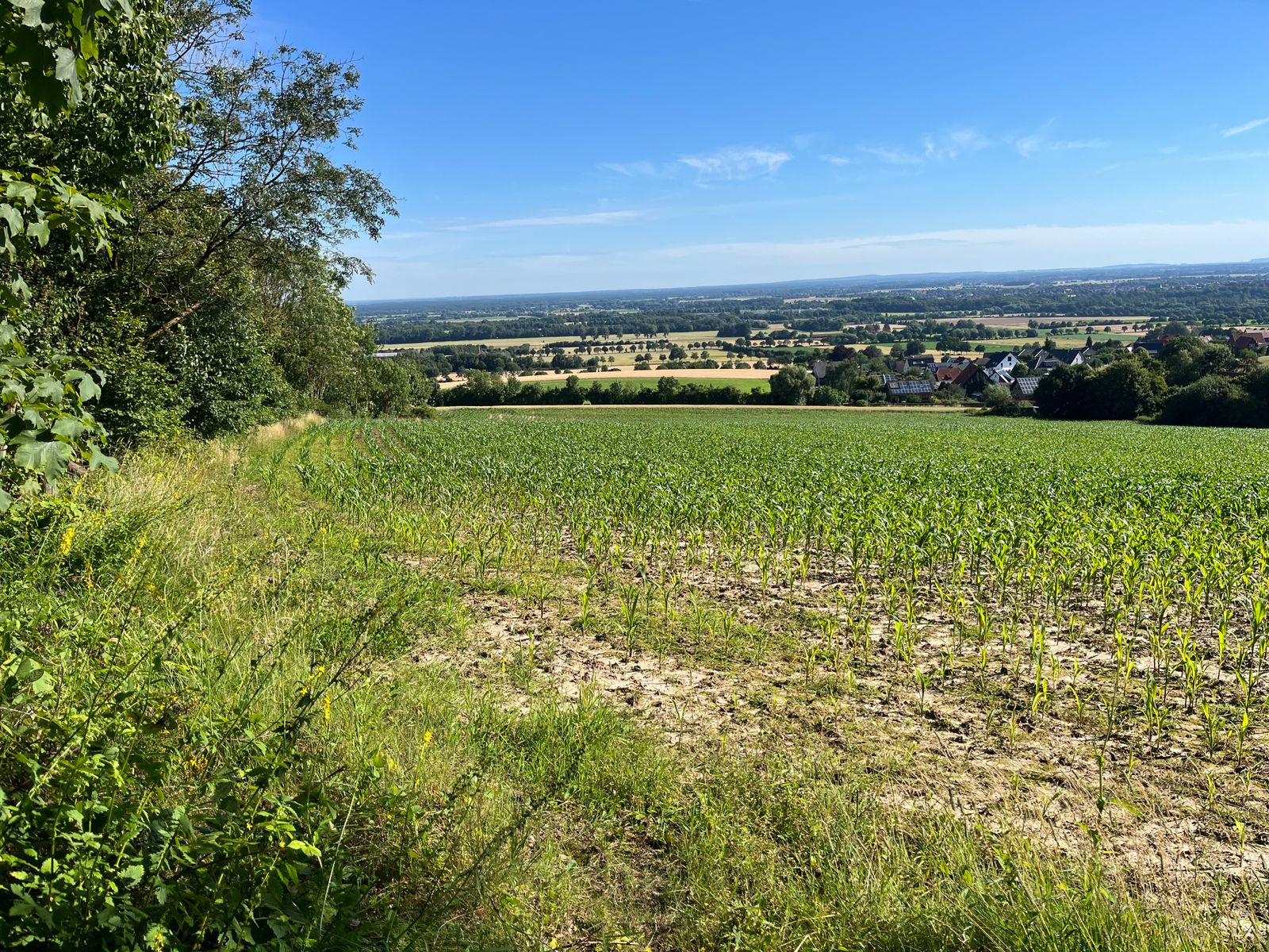 Landwirtschaftliche Fläche zum Kauf 250.000 € 58.500 m²<br/>Fläche 58.500 m²<br/>Grundstück Scheie Bückeburg 31675