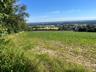 Landwirtschaftliche Fläche zum Kauf 250.000 € 58.500 m² 58.500 m² Grundstück Scheie Bückeburg 31675