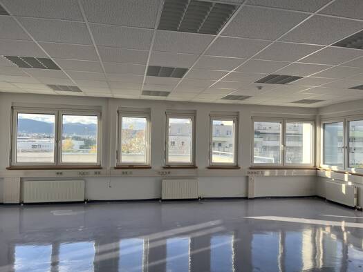 Bürofläche zur Miete 10,50 € 268,1 m² Bürofläche Wiener Neudorf 2351