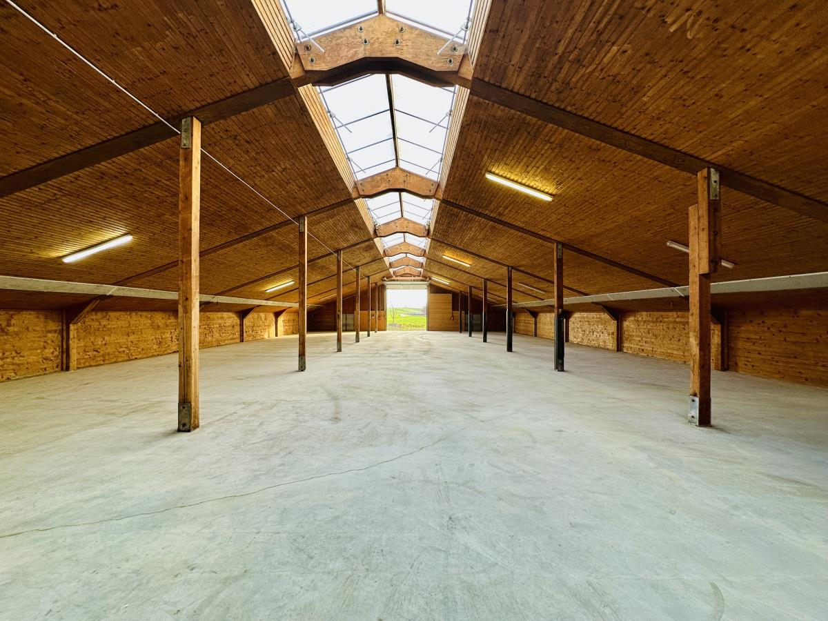 Lagerhalle zur Miete provisionsfrei 750 m²<br/>Lagerfläche Schwabniederhofen Altenstadt 86972