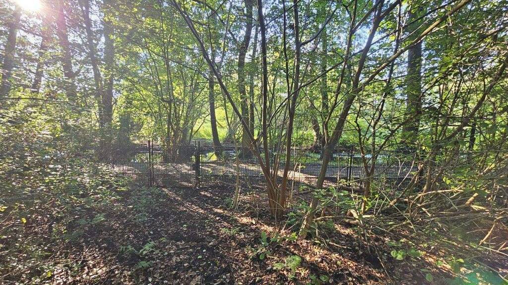 Doppelhaushälfte zum Kauf 495.000 € 1.740 m² Grundstück Fontaneweg 12 Birkenwerder 16547