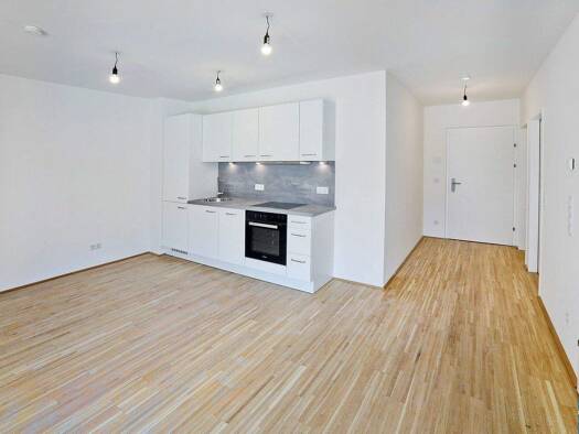 Wohnung zum Kauf 405.000 € 4 Zimmer 73,6 m² EG frei ab 01.11.2029 Podhagskygasse 12 Wien 1220