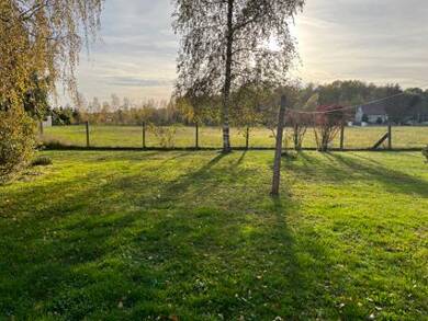 Einfamilienhaus zum Kauf 119.000 € 8 Zimmer 129 m² 8.654 m² Grundstück Schönborn Schönborn 03253