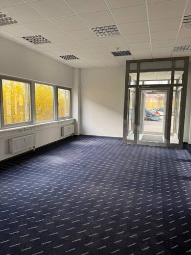 Halle/Industriefläche zur Miete 375 m² Lagerfläche teilbar bis 375 m² Rellingen 25462