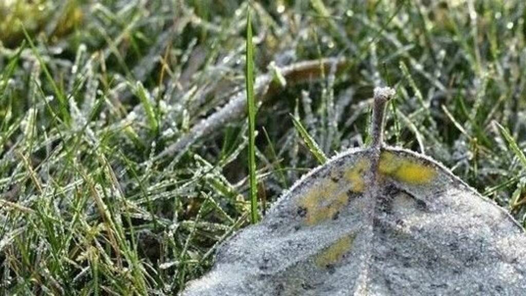 Grundstück zum Kauf 200.000 € 42 m² Grundstück Bran-Sohodol 36251