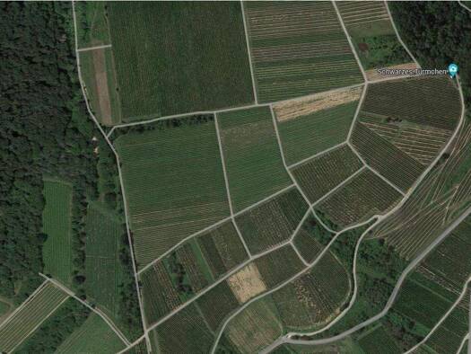 Land-/Forstwirtschaft zum Kauf provisionsfrei 9.900 € 1.705 m² Grundstück Münster-Sarmsheim 55424