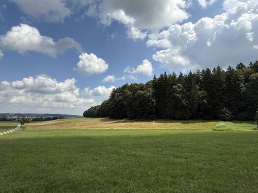 Land-/Forstwirtschaft zum Kauf 84.000 € 12.910 m² Grundstück Mattsies Tussenhausen 86874