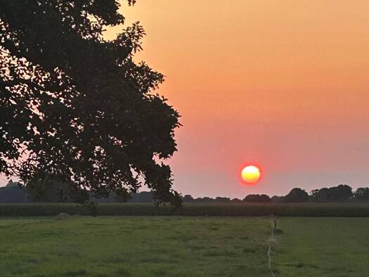 Wohnung zur Miete 1.600 € 4 Zimmer 110 m² Geschoss 1/2 frei ab 01.06.2026 Mariensee Neustadt am Rübenberge 31535