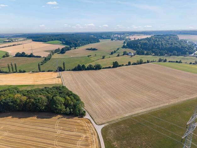 Land-/Forstwirtschaft zum Kauf 229.900 € 22.563 m² Grundstück Äpfingen Maselheim 88437
