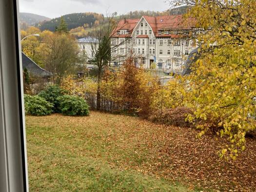 Wohnung zur Miete 295 € 2 Zimmer 48,2 m² Geschoss EG/3 frei ab sofort Berggasse 2 Olbernhau Olbernhau 09526