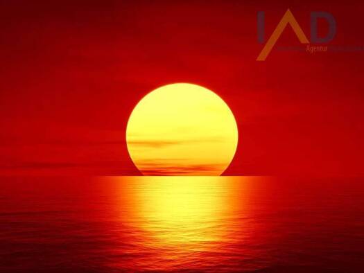 Einfamilienhaus zum Kauf 249.000 € 14 Zimmer 390 m² 750 m² Grundstück Altenbergen Marienmünster 37696