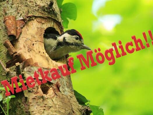 Doppelhaushälfte zum Kauf 5 Zimmer 180 m² 400 m² Grundstück frei ab sofort Giengen Giengen an der Brenz 89537